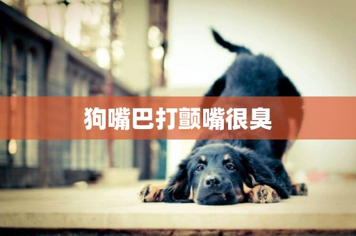 狗嘴巴打顫嘴很臭