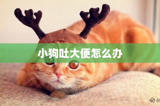 小狗吐大便怎么辦
