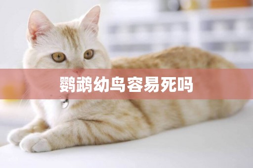 鸚鵡幼鳥容易死嗎