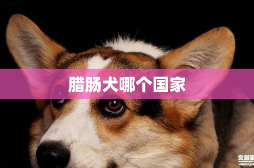 臘腸犬哪個國家
