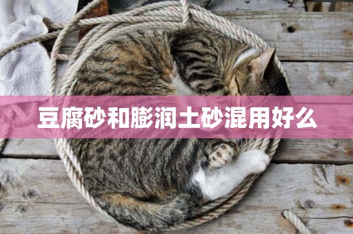 豆腐砂和膨潤土砂混用好么