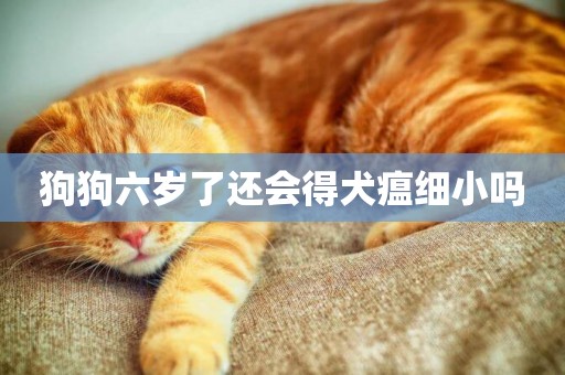 狗狗六歲了還會得犬瘟細小嗎