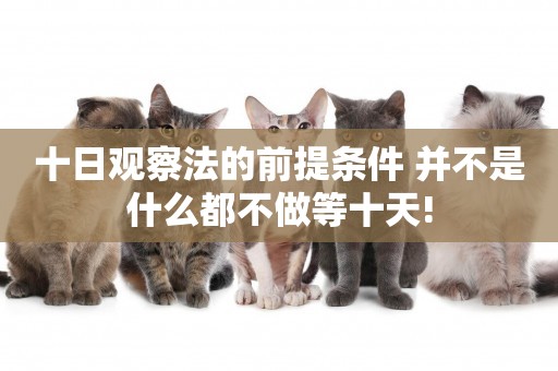十日觀察法的前提條件 并不是什么都不做等十天!
