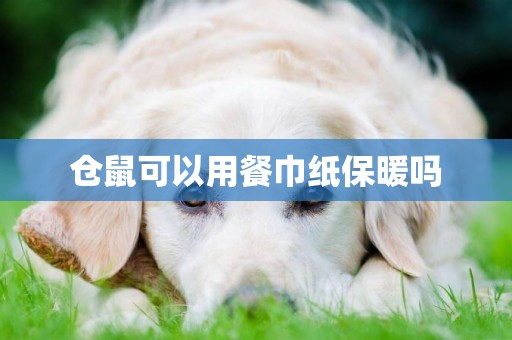 倉鼠可以用餐巾紙保暖嗎