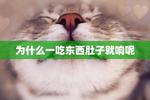 為什么一吃東西肚子就響呢