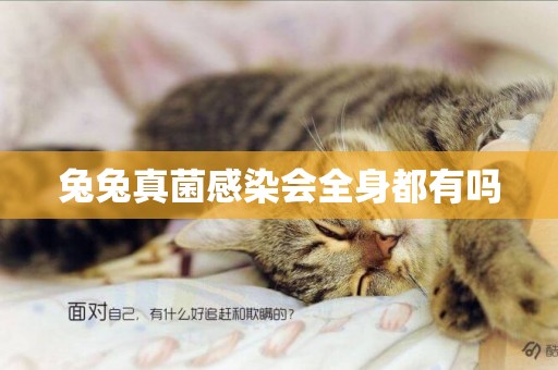 兔兔真菌感染會全身都有嗎