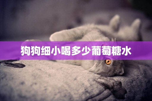 狗狗細小喝多少葡萄糖水