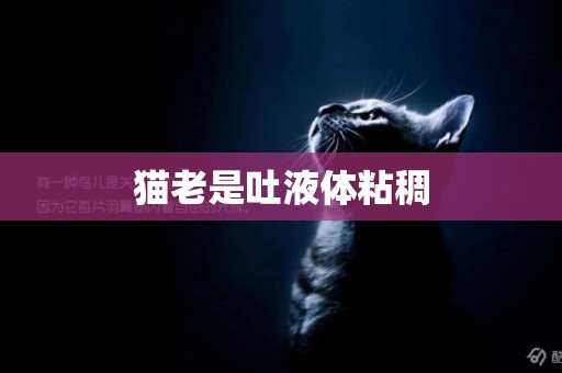 貓老是吐液體粘稠