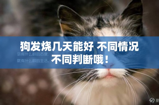 狗發燒幾天能好 不同情況不同判斷哦！