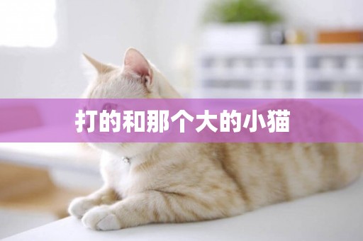 打的和那個大的小貓