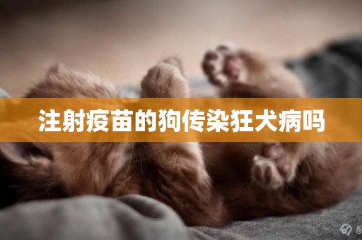 注射疫苗的狗傳染狂犬病嗎