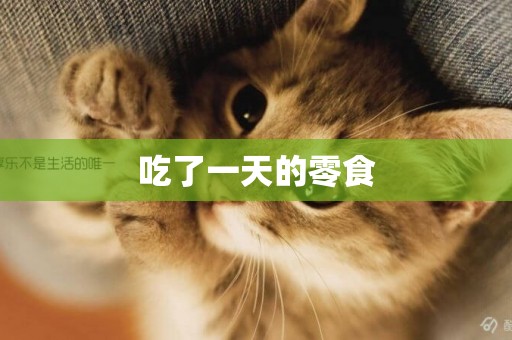 吃了一天的零食