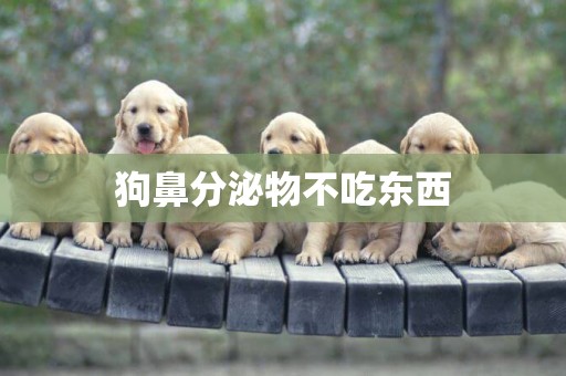 狗鼻分泌物不吃東西