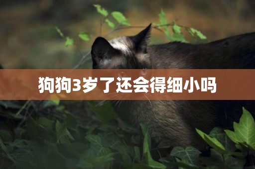 狗狗3歲了還會得細小嗎