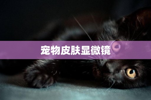 寵物皮膚顯微鏡