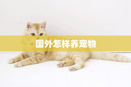 國外怎樣養寵物