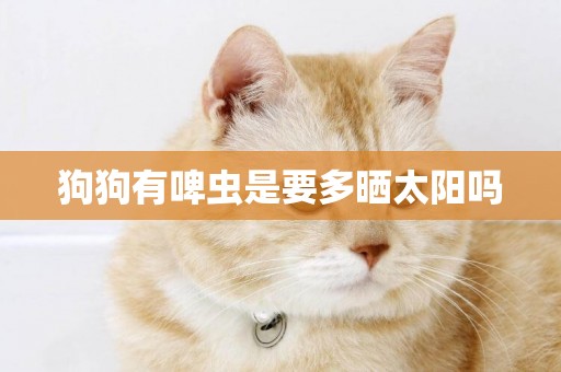 狗狗有啤蟲是要多曬太陽嗎