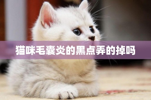 貓咪毛囊炎的黑點弄的掉嗎