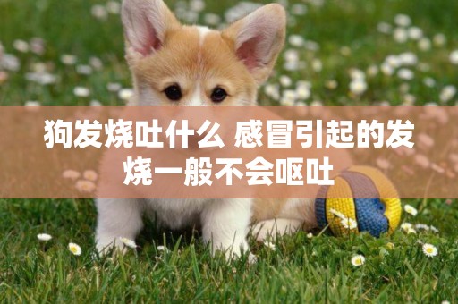 狗發燒吐什么 感冒引起的發燒一般不會嘔吐