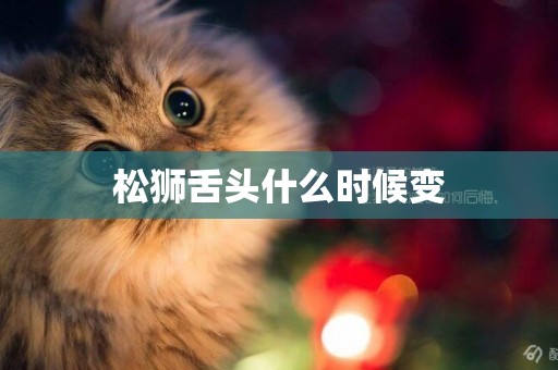 松獅舌頭什么時候變