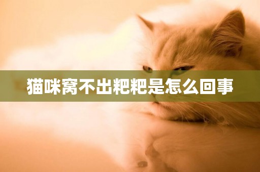貓咪窩不出粑粑是怎么回事