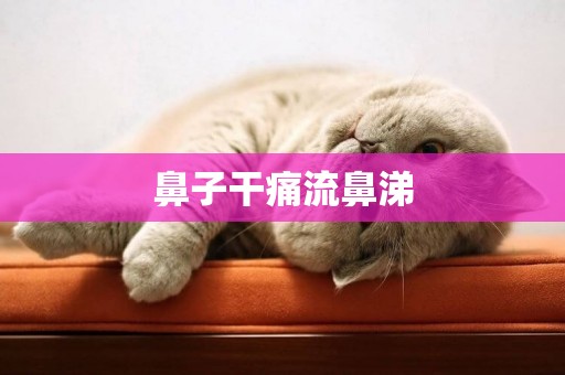 鼻子干痛流鼻涕