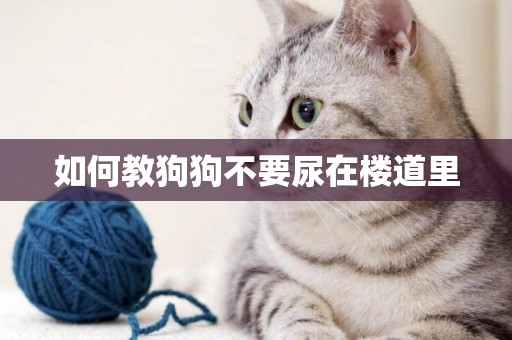 如何教狗狗不要尿在樓道里