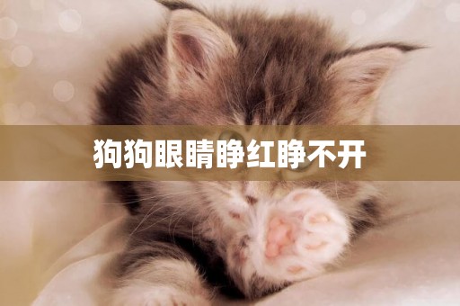 狗狗眼睛睜紅睜不開