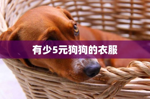 有少5元狗狗的衣服