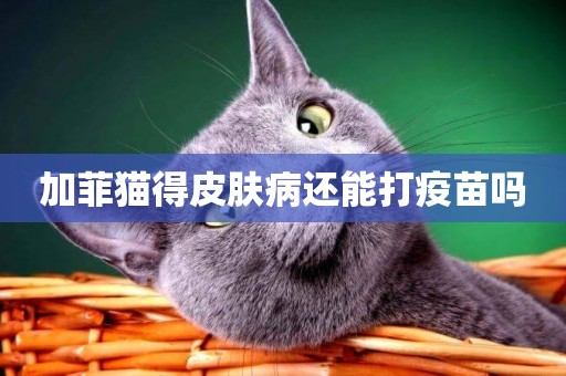 加菲貓得皮膚病還能打疫苗嗎