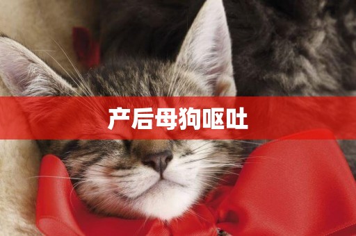 產后母狗嘔吐