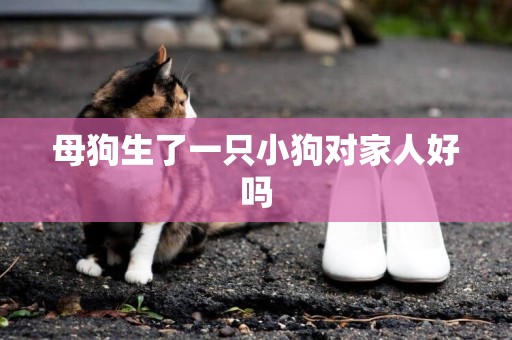 母狗生了一只小狗對家人好嗎