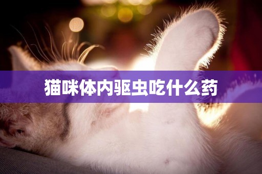貓咪體內驅蟲吃什么藥