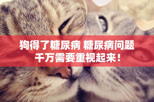 狗得了糖尿病 糖尿病問題千萬需要重視起來！