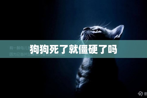 狗狗死了就僵硬了嗎