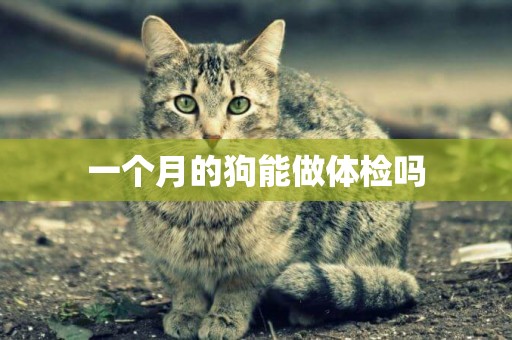 一個月的狗能做體檢嗎
