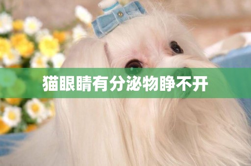 貓眼睛有分泌物睜不開