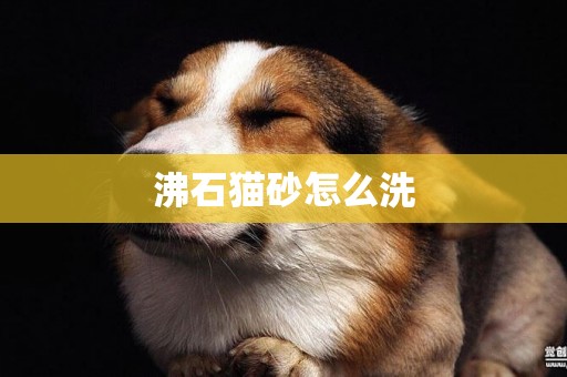 沸石貓砂怎么洗