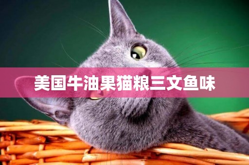 美國牛油果貓糧三文魚味