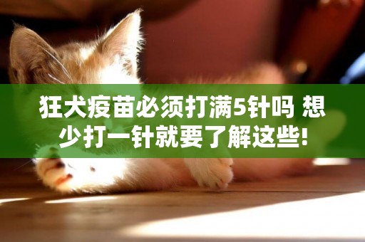 狂犬疫苗必須打滿5針嗎 想少打一針就要了解這些!