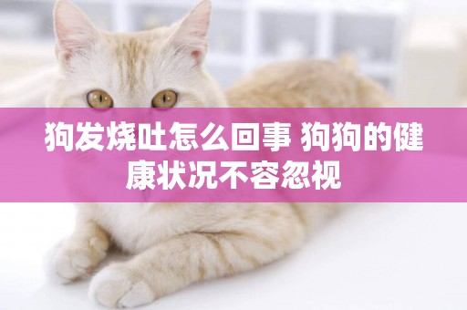 狗發燒吐怎么回事 狗狗的健康狀況不容忽視