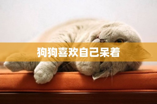 狗狗喜歡自己呆著