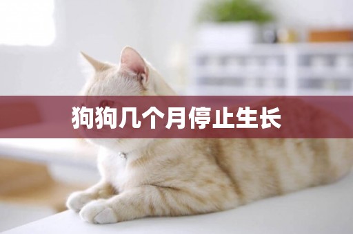 狗狗幾個月停止生長