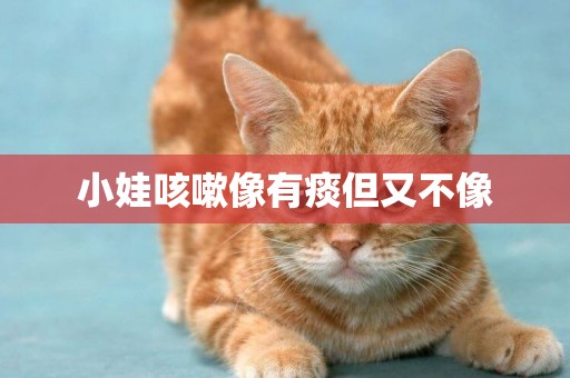 小娃咳嗽像有痰但又不像