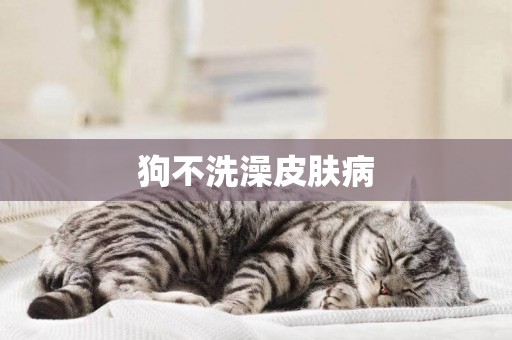 狗不洗澡皮膚病