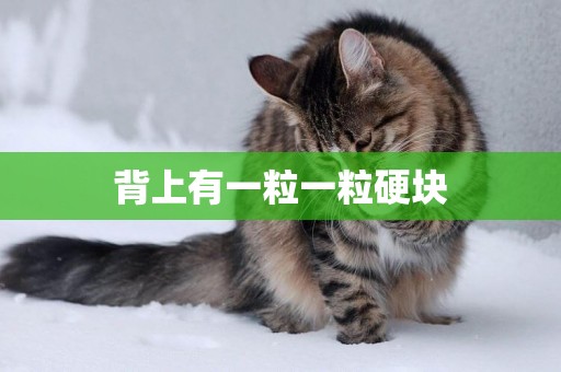 背上有一粒一粒硬塊
