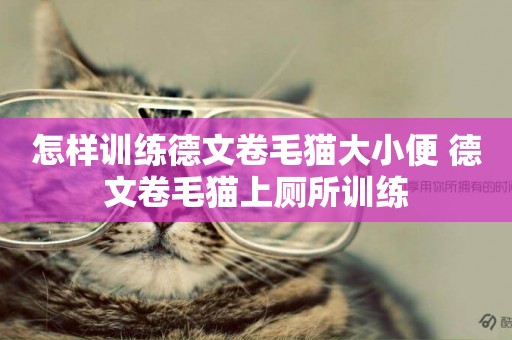 怎樣訓練德文卷毛貓大小便 德文卷毛貓上廁所訓練
