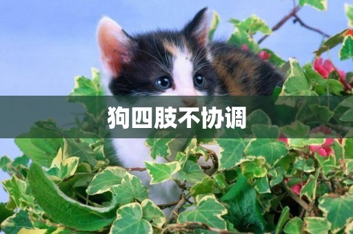 狗四肢不協調