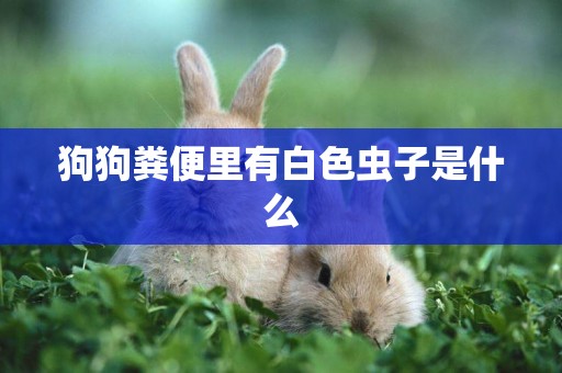 狗狗糞便里有白色蟲子是什么