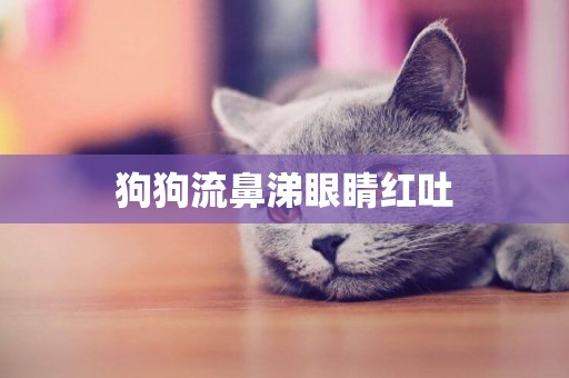 狗狗流鼻涕眼睛紅吐